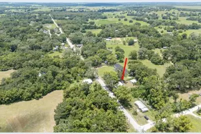 37315 Trilby Road, Dade City, FL 33523 - Photo 3