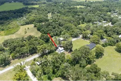 37315 Trilby Road, Dade City, FL 33523 - Photo 35