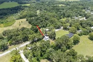 37315 Trilby Rd, Dade City, FL 33523 - Photo 35