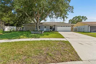16205 Sawgrass Cir, Tampa, FL 33624 - Photo 3