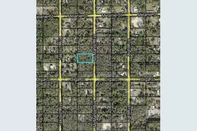 10045 McMahon Avenue, Hastings, FL 32145 - Photo 5