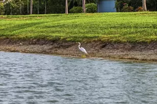 5082 Inshore Landings Dr, Apollo Beach, FL 33572 - Photo 31