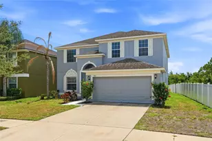 909 Meadow Glade Dr, Ruskin, FL 33570 - Photo 51