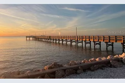 3273 Mangrove Point Drive, Ruskin, FL 33570 - Photo 53