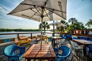 3273 Mangrove Point Dr, Ruskin, FL 33570 - Photo 61