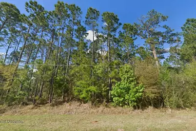 20607 Newby Street, Orlando, FL 32833 - Photo 3