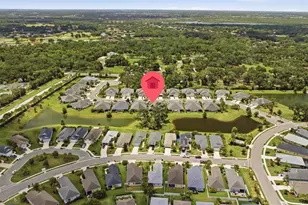 4028 Wildgrass Pl, Parrish, FL 34219 - Photo 45