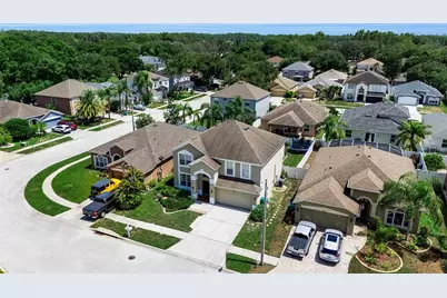 1250 Loretto Circle, Odessa, FL 33556 - Photo 55