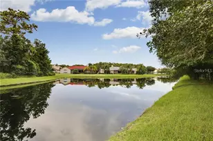 6020 Catlin Dr, Tampa, FL 33647 - Photo 3