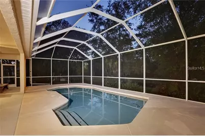 6020 Catlin Drive, Tampa, FL 33647 - Photo 3
