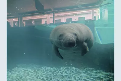 3609 59th Avenue W #3609, Bradenton, FL 34210 - Photo 45