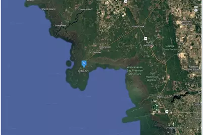 12425 Cedar St, Cedar Key, FL 32625 - Photo 5