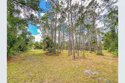 1205 Williams Road, New Smyrna Beach, FL 32168 - Photo 67