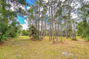 1205 Williams Rd, New Smyrna Beach, FL 32168 - Photo 67