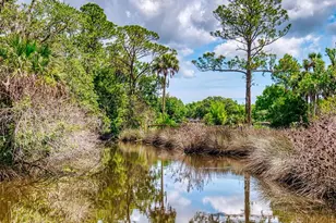 1205 Williams Rd, New Smyrna Beach, FL 32168 - Photo 63