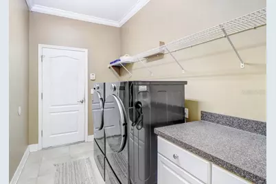 16116 Ivy Lake Drive, Odessa, FL 33556 - Photo 17
