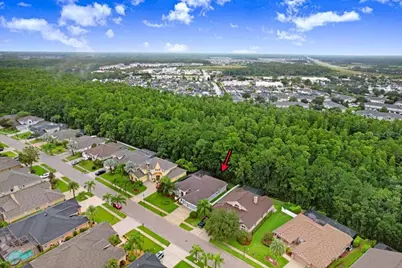 16116 Ivy Lake Drive, Odessa, FL 33556 - Photo 7