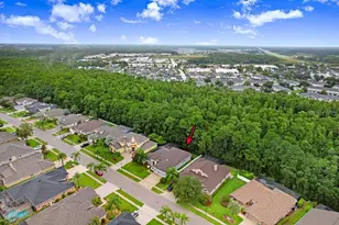 16116 Ivy Lake Dr, Odessa, FL 33556 - Photo 7