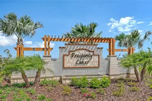11829 Lilac Pearl Ln, Parrish, FL 34219 - Photo 3