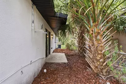 595 Pine Street, Safety Harbor, FL 34695 - Photo 35