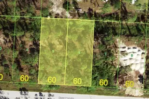 27418 & 27424 Pasadena Dr, Punta Gorda, FL 33955 - Photo 1
