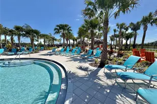 12842 Lily Quartz Loop, Parrish, FL 34219 - Photo 43