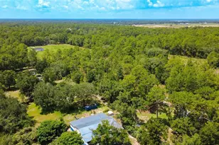 13300 SW 91st Pl, Dunnellon, FL 34432 - Photo 5