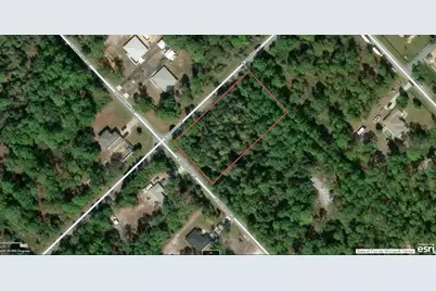 11645 W Dragonhead Drive, Crystal River, FL 34428 - Photo 1