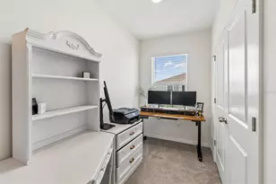 17245 Amber Aspen Wy, Land O Lakes, FL 34638 - Photo 33