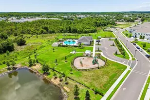 17245 Amber Aspen Wy, Land O Lakes, FL 34638 - Photo 53