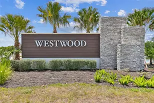 17245 Amber Aspen Wy, Land O Lakes, FL 34638 - Photo 81