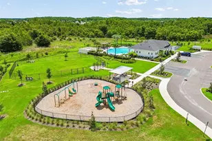 17245 Amber Aspen Wy, Land O Lakes, FL 34638 - Photo 45