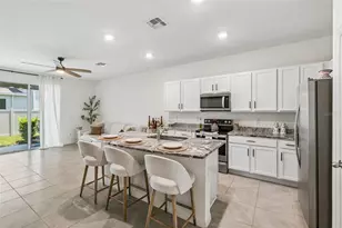 17245 Amber Aspen Wy, Land O Lakes, FL 34638 - Photo 9