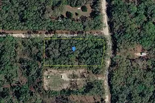 1200 NE 644th St, Old Town, FL 32680 - Photo 1