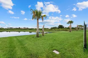 10032 Last Lgt Gln, Parrish, FL 34219 - Photo 33