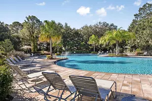 10032 Last Lgt Gln, Parrish, FL 34219 - Photo 43