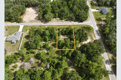 Malauka Radial, Ocklawaha, FL 32179 - Photo 1