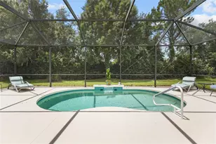 11739 Fennemore Way, Parrish, FL 34219 - Photo 3