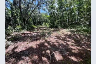 310 Clayton Road, Auburndale, FL 33823 - Photo 5