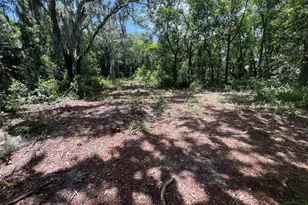 310 Clayton Rd, Auburndale, FL 33823 - Photo 5