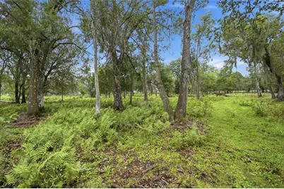 10066 Mizell Road, Myakka City, FL 34251 - Photo 53