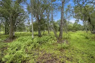 10066 Mizell Rd, Myakka City, FL 34251 - Photo 53