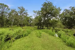 10066 Mizell Rd, Myakka City, FL 34251 - Photo 61