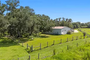 10066 Mizell Rd, Myakka City, FL 34251 - Photo 65