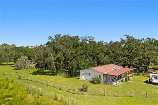 10066 Mizell Rd, Myakka City, FL 34251 - Photo 3