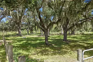10066 Mizell Rd, Myakka City, FL 34251 - Photo 73