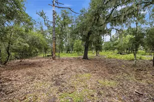 10066 Mizell Rd, Myakka City, FL 34251 - Photo 55