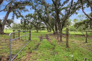 10066 Mizell Rd, Myakka City, FL 34251 - Photo 51