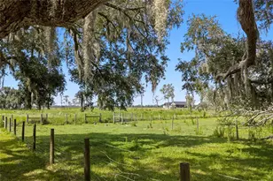 10066 Mizell Rd, Myakka City, FL 34251 - Photo 69