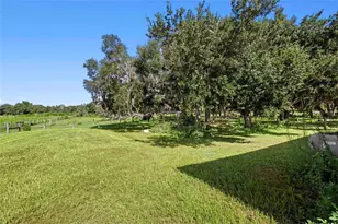 10066 Mizell Rd, Myakka City, FL 34251 - Photo 47
